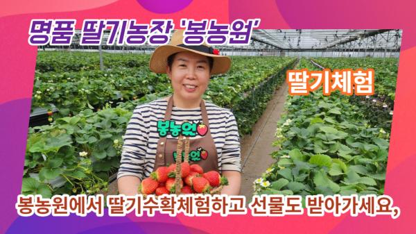 좀 더 새로워진 딸기명인의 명품 딸기농장 ‘봉농원’ 