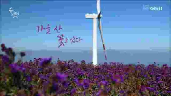 KBS 1TV  숨터 '감악산 가을 산 꽃을 입다'