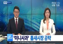 [MBC 경남 뉴스투데이] 알프스오또메 사과
