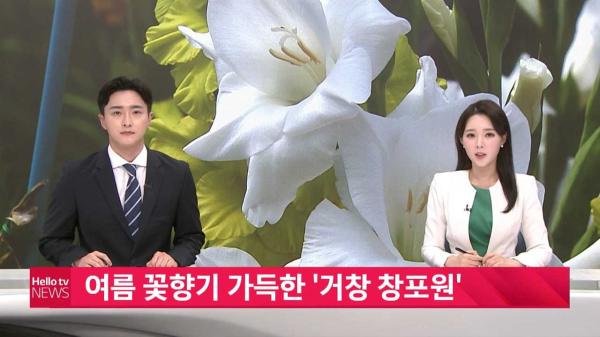 LG헬로가야방송 여름 꽃향기 가득한 ′거창 창포원′