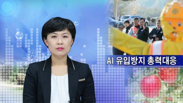 1월 4주 군정뉴스 방송 화면