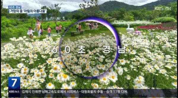 KBS경남 9시뉴스_60초 경남_ 거창 창포원 ‘아리미아 꽃 축제’