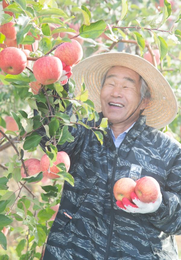 [가작 : 정종석] 사과밭 농부의 미소